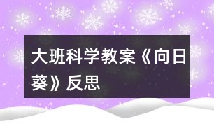 大班科學(xué)教案《向日葵》反思