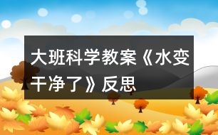 大班科學教案《水變干凈了》反思