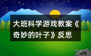 大班科學(xué)游戲教案《奇妙的葉子》反思