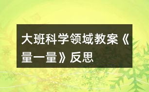 大班科學(xué)領(lǐng)域教案《量一量》反思