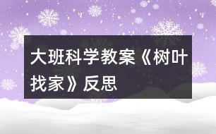 大班科學(xué)教案《樹葉找家》反思