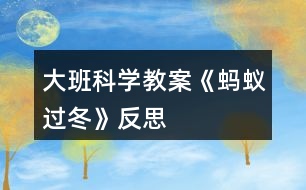 大班科學教案《螞蟻過冬》反思