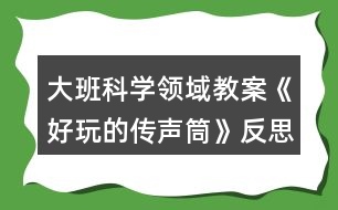 大班科學(xué)領(lǐng)域教案《好玩的傳聲筒》反思