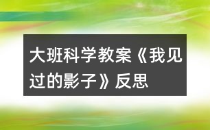 大班科學(xué)教案《我見過的影子》反思