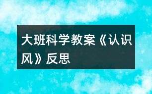 大班科學教案《認識風》反思