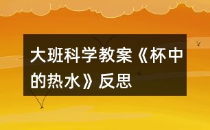 大班科學教案《杯中的熱水》反思