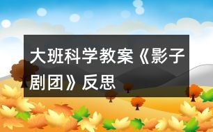 大班科學教案《影子劇團》反思