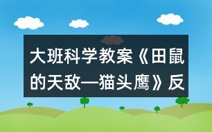 大班科學教案《田鼠的天敵―貓頭鷹》反思