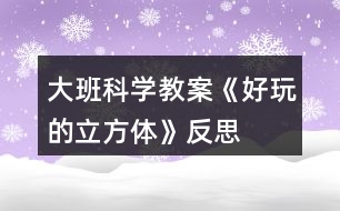 大班科學教案《好玩的立方體》反思