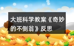 大班科學教案《奇妙的不倒翁》反思