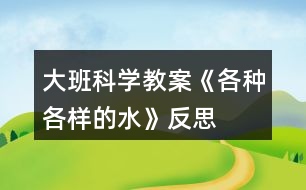 大班科學教案《各種各樣的水》反思