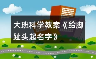 大班科學(xué)教案《給腳趾頭起名字》