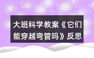 大班科學(xué)教案《它們能穿越彎管嗎》反思