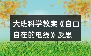 大班科學(xué)教案《自由自在的電線》反思