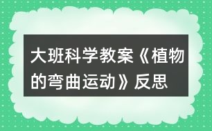 大班科學(xué)教案《植物的彎曲運(yùn)動》反思