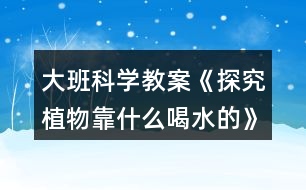 大班科學(xué)教案《探究植物靠什么喝水的》反思