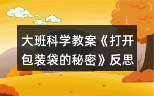 大班科學(xué)教案《打開包裝袋的秘密》反思