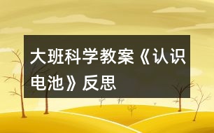 大班科學(xué)教案《認識電池》反思