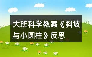 大班科學教案《斜坡與小圓柱》反思