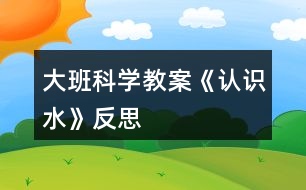 大班科學(xué)教案《認(rèn)識(shí)水》反思