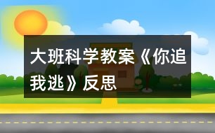 大班科學教案《你追我逃》反思