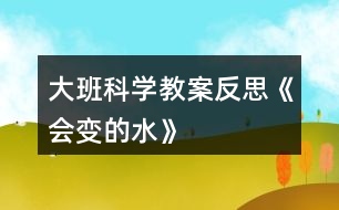 大班科學(xué)教案反思《會變的水》