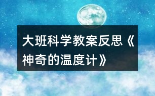 大班科學(xué)教案反思《神奇的溫度計》