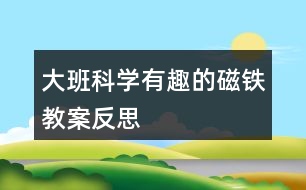 大班科學(xué)有趣的磁鐵教案反思