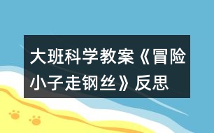 大班科學教案《冒險小子走鋼絲》反思