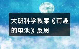 大班科學(xué)教案《有趣的電池》反思