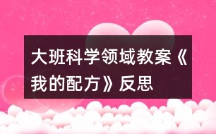 大班科學(xué)領(lǐng)域教案《我的配方》反思