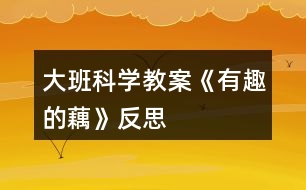 大班科學教案《有趣的藕》反思