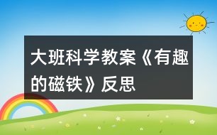 大班科學教案《有趣的磁鐵》反思