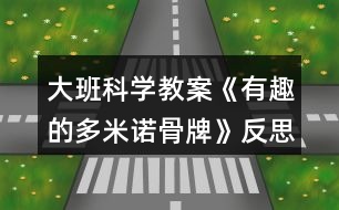 大班科學(xué)教案《有趣的多米諾骨牌》反思