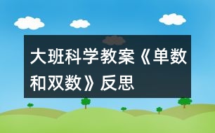 大班科學教案《單數(shù)和雙數(shù)》反思