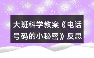 大班科學(xué)教案《電話號碼的小秘密》反思