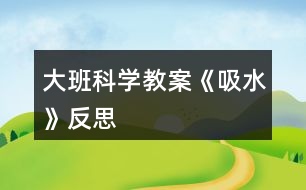 大班科學(xué)教案《吸水》反思