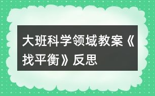 大班科學(xué)領(lǐng)域教案《找平衡》反思