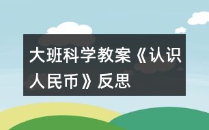 大班科學(xué)教案《認(rèn)識人民幣》反思