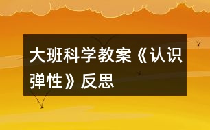 大班科學(xué)教案《認(rèn)識彈性》反思