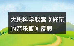 大班科學(xué)教案《好玩的音樂瓶》反思