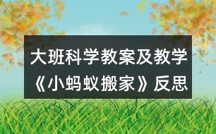 大班科學(xué)教案及教學(xué)《小螞蟻搬家》反思