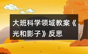 大班科學(xué)領(lǐng)域教案《光和影子》反思