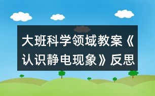 大班科學領域教案《認識靜電現(xiàn)象》反思