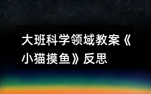 大班科學(xué)領(lǐng)域教案《小貓摸魚》反思