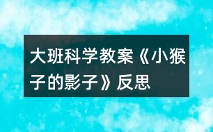 大班科學教案《小猴子的影子》反思