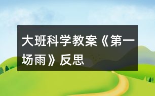 大班科學(xué)教案《第一場雨》反思