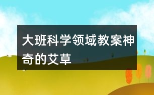 大班科學(xué)領(lǐng)域教案神奇的艾草