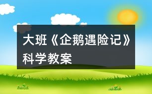 大班《企鵝遇險(xiǎn)記》科學(xué)教案