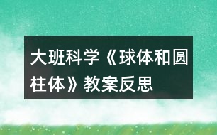 大班科學《球體和圓柱體》教案反思